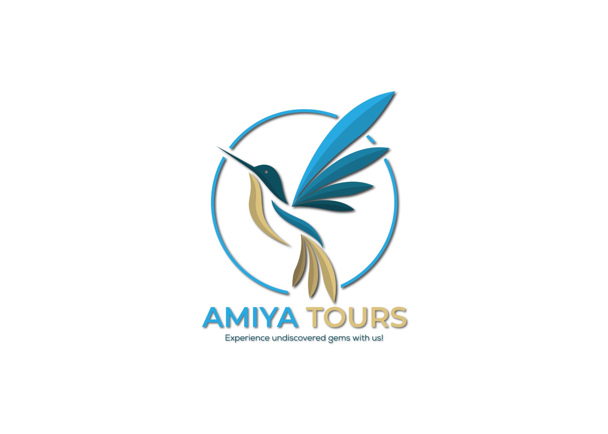 Amiya Tours